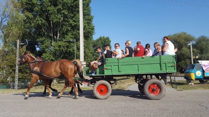 Érezd jól magad! Nyári napközis tábor - 2018